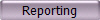 Reporting