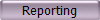 Reporting